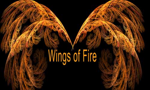 Wings of Fire Brushes by NotPeople-Stock